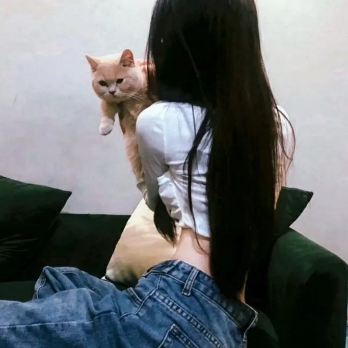 艾莉塔:战斗天使